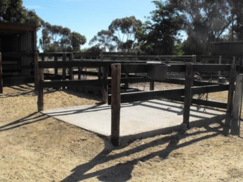 25 Pinkerton Road, Naracoorte SA 5271