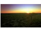 Rosetown SA 5275