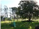 Wattle Range SA 5279