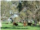 Wattle Range SA 5279
