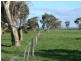 Wattle Range SA 5279