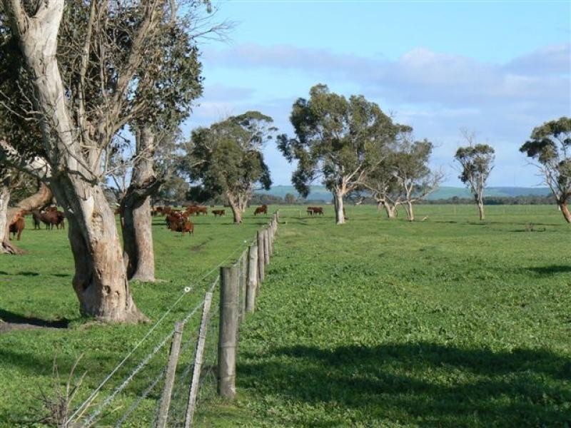 Wattle Range SA 5279