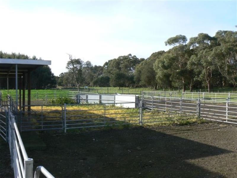 Wattle Range SA 5279