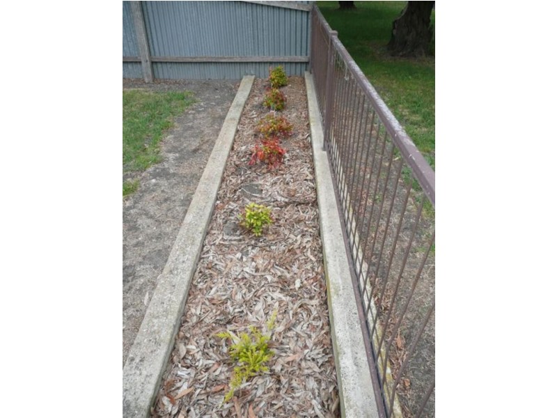 23 McMorron Street, Millicent SA 5280