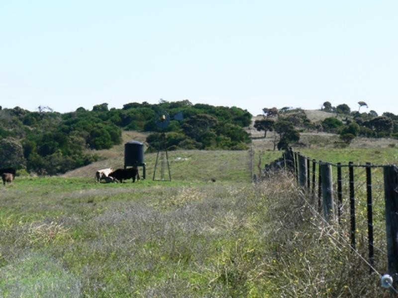 Section 263/ Edwards Road, Millicent SA 5280