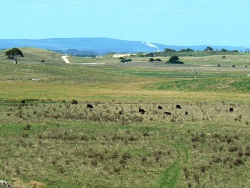 Section 263/ Edwards Road, Millicent SA 5280
