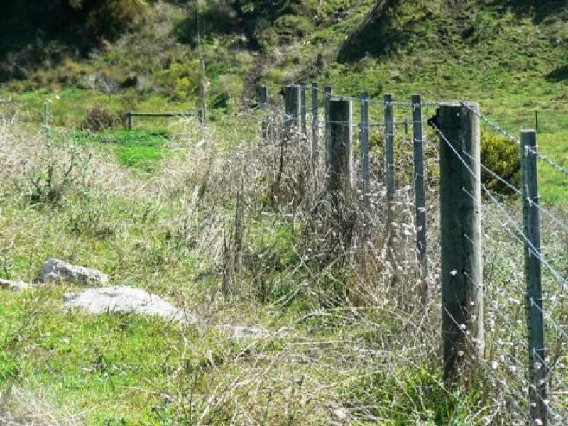 Section 263/ Edwards Road, Millicent SA 5280