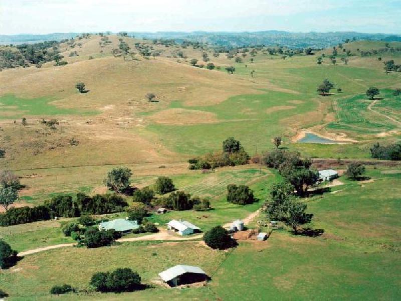 WELLINGTON ROAD, Mudgee NSW 2850