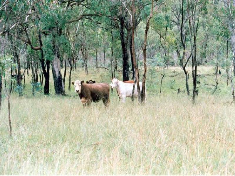 WARRABAH ROAD, Manilla NSW 2346
