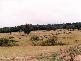 WARRABAH ROAD, Manilla NSW 2346