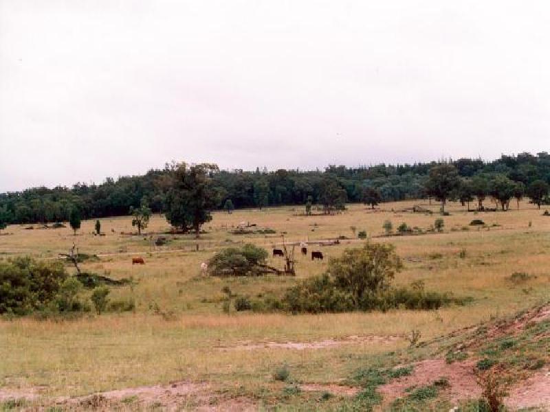 WARRABAH ROAD, Manilla NSW 2346