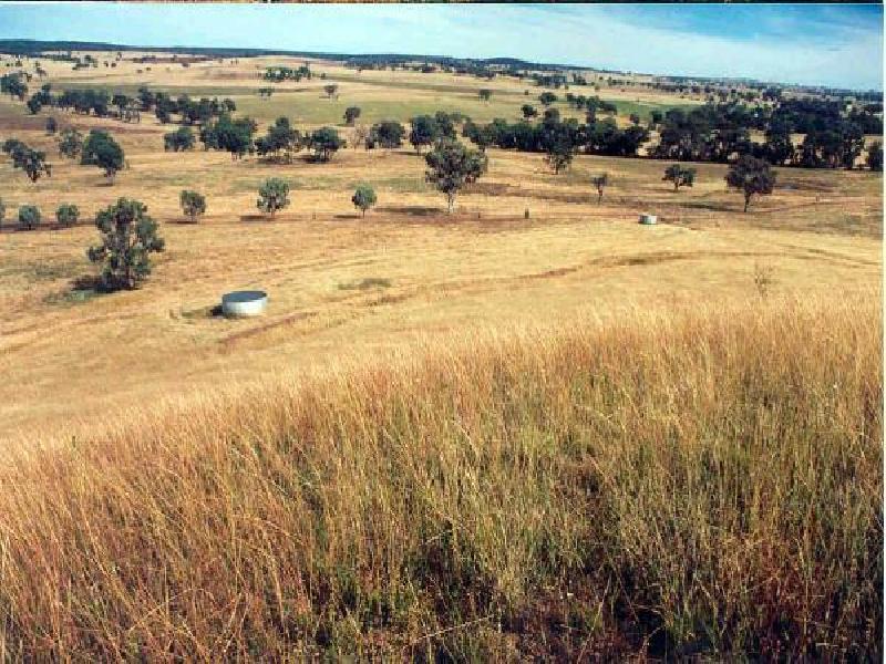 Gunnedah NSW 2380