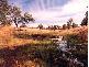 Gunnedah NSW 2380
