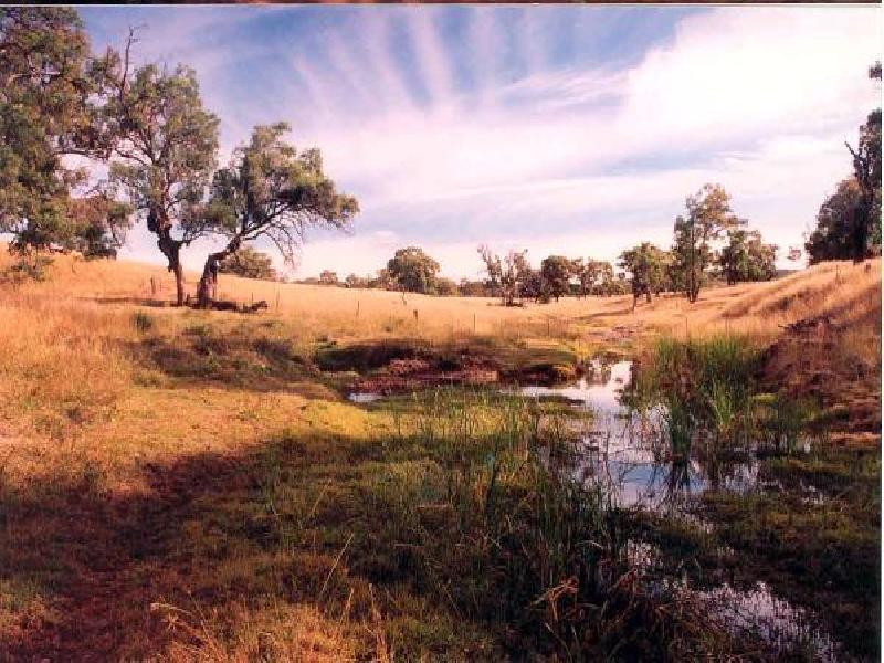 Gunnedah NSW 2380