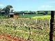 104 CARRO PARK ROAD, Cowra NSW 2794