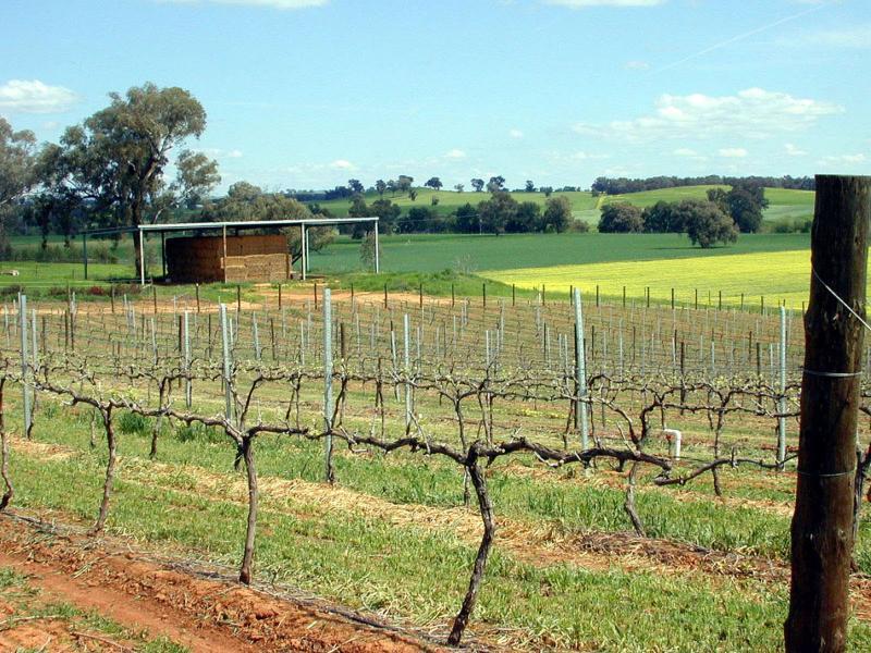 104 CARRO PARK ROAD, Cowra NSW 2794