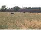 Moree NSW 2400