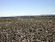 GRENFELL ROAD, Cowra NSW 2794