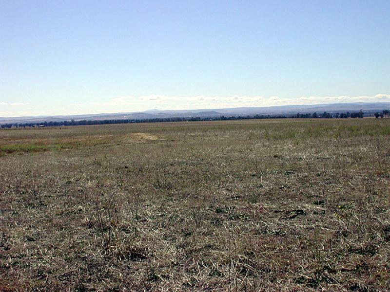 GRENFELL ROAD, Cowra NSW 2794
