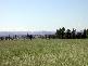 GRENFELL ROAD, Cowra NSW 2794