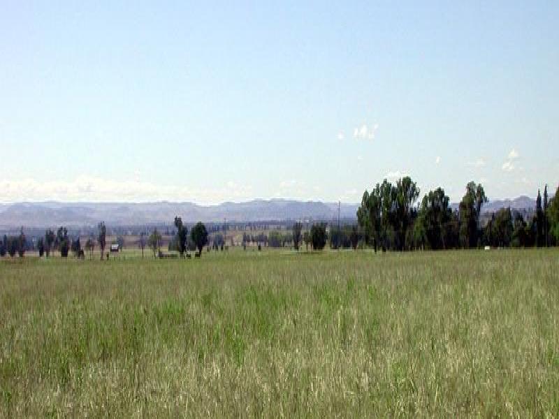 GRENFELL ROAD, Cowra NSW 2794
