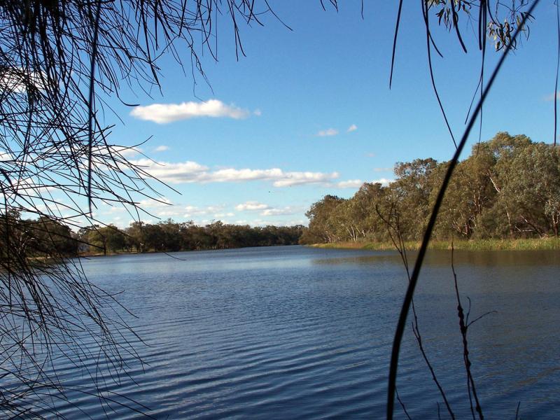 BOGAN RIVER, Nyngan NSW 2825