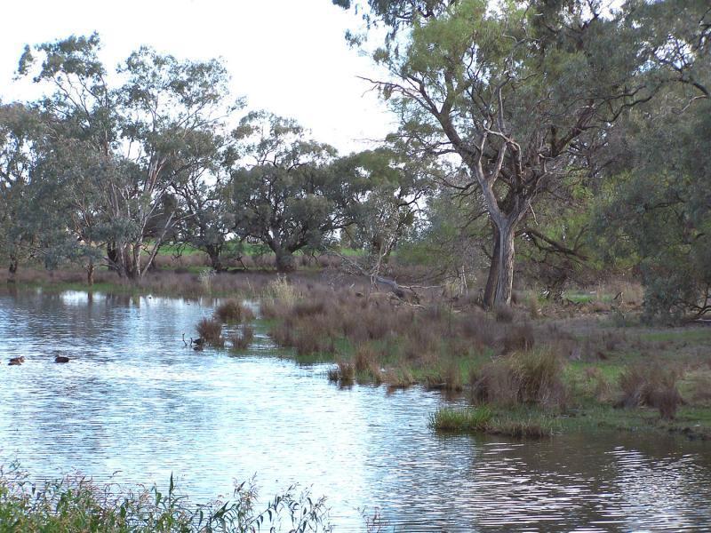 BOGAN RIVER, Nyngan NSW 2825