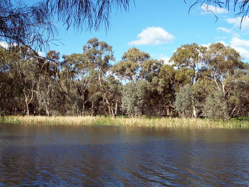 BOGAN RIVER, Nyngan NSW 2825