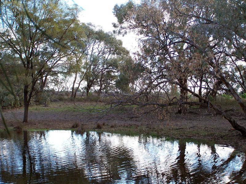 BOGAN RIVER, Nyngan NSW 2825