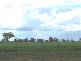 3 KILOMETRES FROM, Barmedman NSW 2668