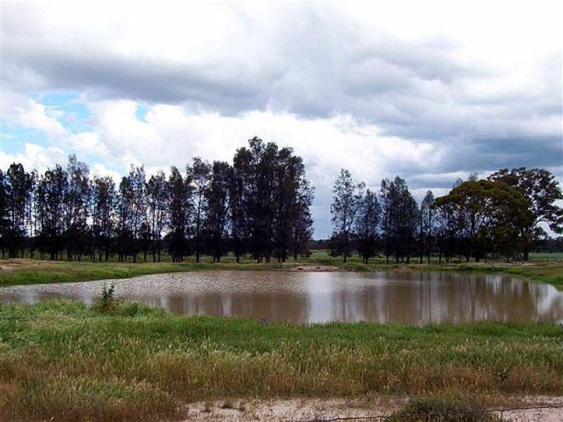 3 KILOMETRES FROM, Barmedman NSW 2668