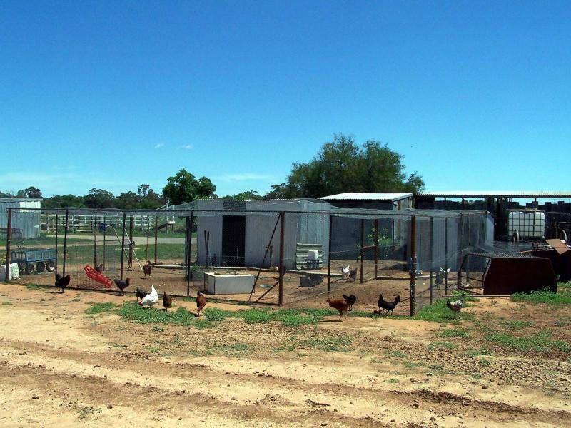 LOT 4 HOSKINS STREET, Nyngan NSW 2825