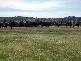 WARRADERRY ROAD, Cowra NSW 2794