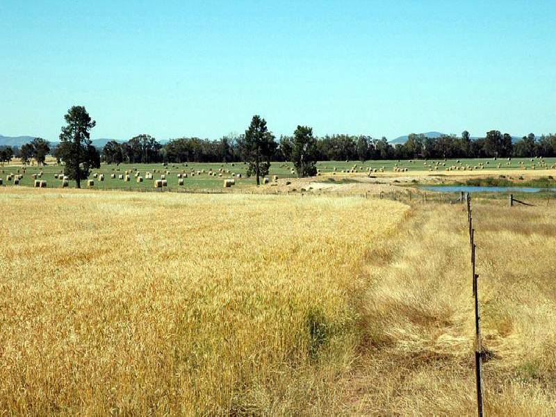 WARRADERRY ROAD, Cowra NSW 2794