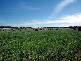 WARRADERRY ROAD, Cowra NSW 2794