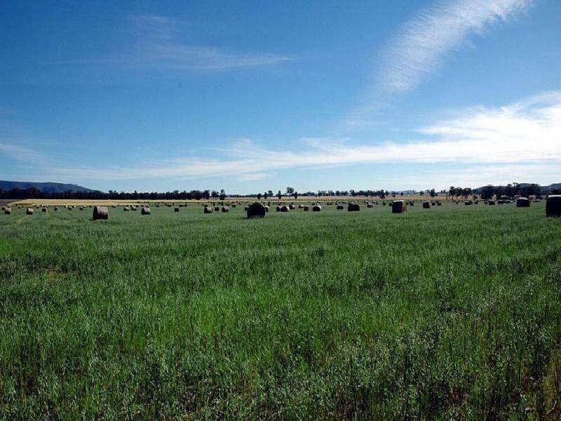 WARRADERRY ROAD, Cowra NSW 2794