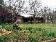 OLD GUNDAGAI ROAD, Cootamundra NSW 2590