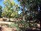 OLD GUNDAGAI ROAD, Cootamundra NSW 2590