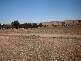 OLD GUNDAGAI ROAD, Cootamundra NSW 2590
