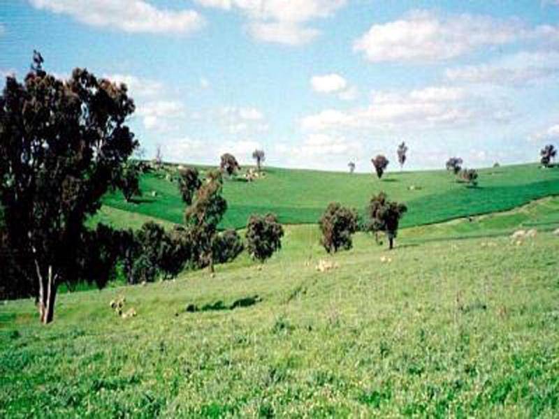20 KILOMETRES FROM HARDEN, Harden NSW 2587