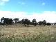Rye Park NSW 2586