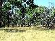 Armidale NSW 2350