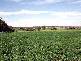 Inverell NSW 2360