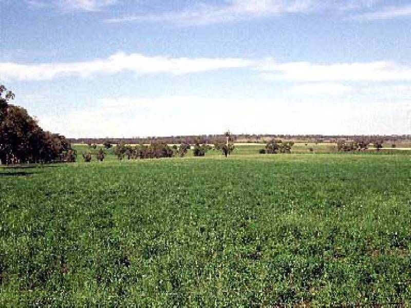 Inverell NSW 2360