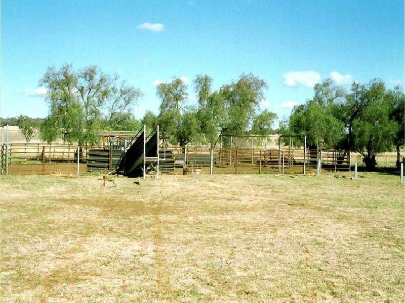 Inverell NSW 2360