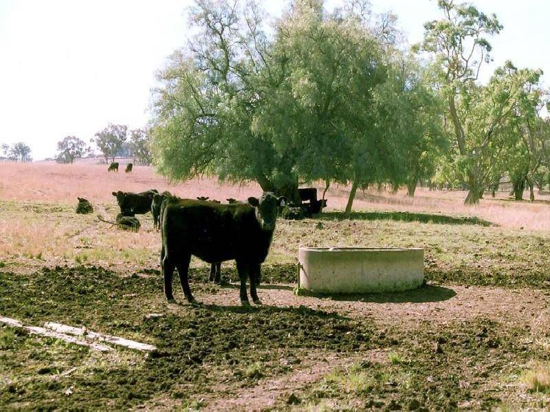 Inverell NSW 2360