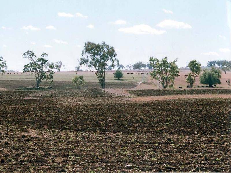 Inverell NSW 2360
