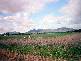Tamworth NSW 2340
