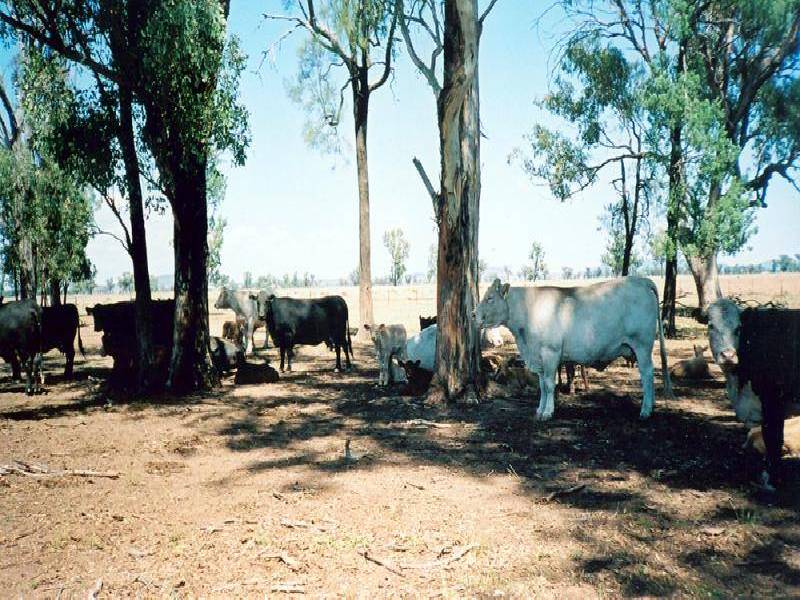 Tamworth NSW 2340