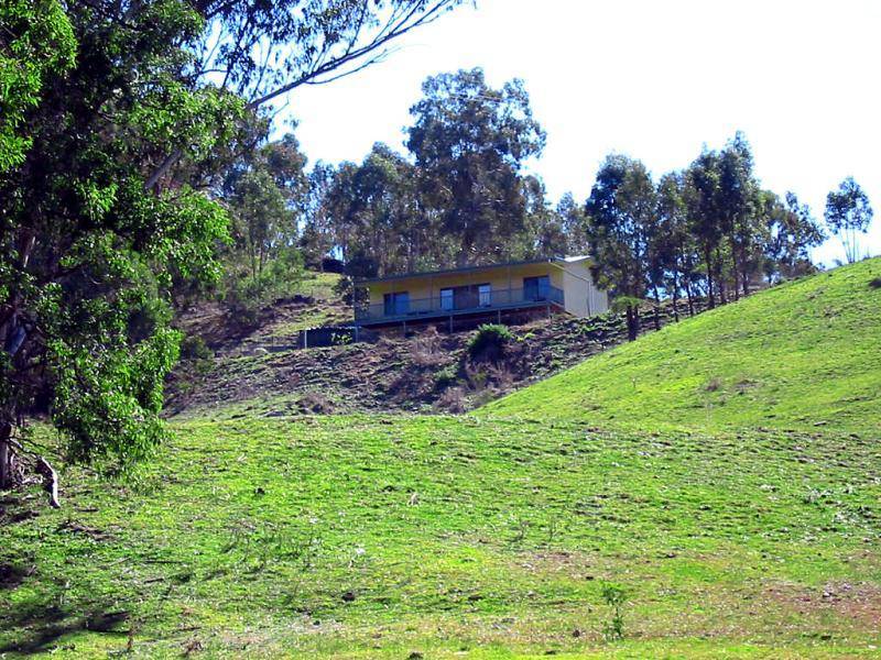 113 MOUNT PLEASANT ROAD, Murrurundi NSW 2338